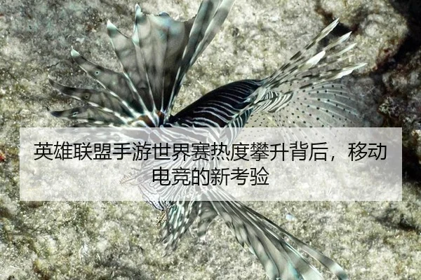 ying-xiong-lian-meng-shou-you-shi-jie-sai-re-du-pan-sheng-bei-hou-yi-dong-dian-jing-de-xin-kao-yan-2-819.jpg